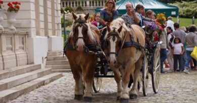Le retour de la Saint-Fiacre dans cette ville du Val-d'Oise