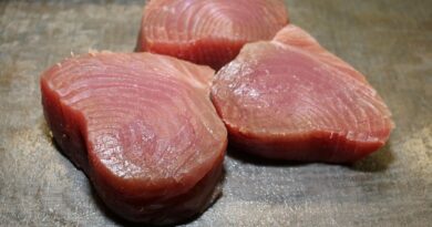 Le thon à la cantine fait polémique : pourquoi plusieurs mairies l’ont rayé du menu ?