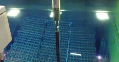 Le transfert du combustible de la piscine du réacteur 5 de Fukushima Daiichi a commencé - Fukushima 福島第一