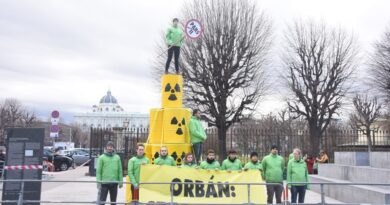 Orban – Kurz meeting in Vienna
