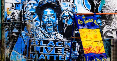 sociology,anthropology,psychology,economics,politics,culture,society,history,ethics,law