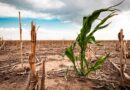 Les États membres de l’UE repoussent leur décision sur l’objectif climatique 2040 - RTBF Actus