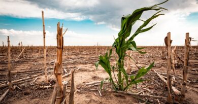 Les États membres de l’UE repoussent leur décision sur l’objectif climatique 2040 - RTBF Actus
