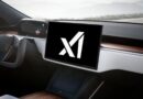 Les actionnaires de Tesla appelés à se prononcer sur un investissement dans xAI