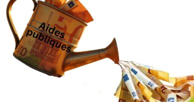 Les aides publiques aux entreprises en France obèrent gravement la rationalité du marché