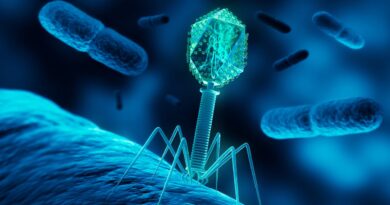 Les bactéries miroirs pourraient conquérir la vie sur Terre : et si ce fantasme de scientifiques devenait une dangereuse réalité
