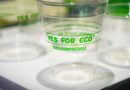 Les bioplastiques, alternative écologique ou solution en sursis ?