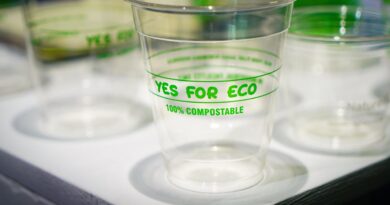 Les bioplastiques, alternative écologique ou solution en sursis ?