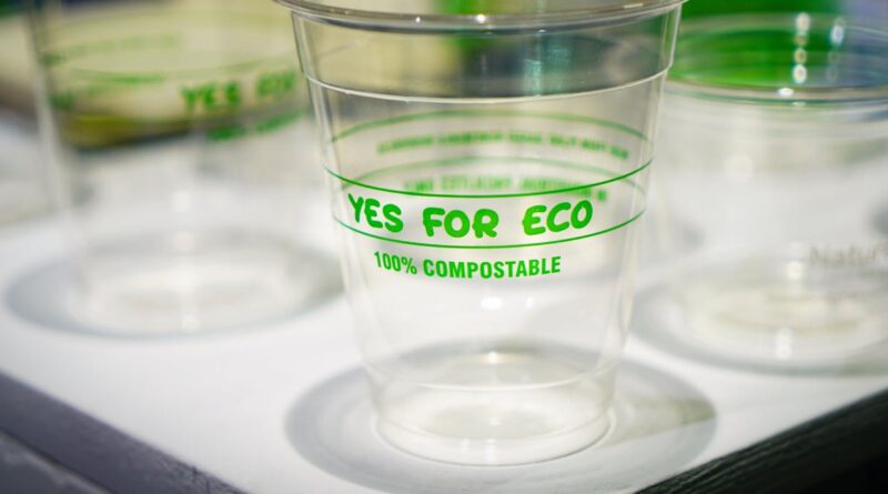 Les bioplastiques, alternative écologique ou solution en sursis ?