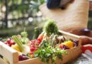 « Les légumes du soleil on en profite un maximum ! » Vrai / Faux ? - ici
