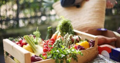 « Les légumes du soleil on en profite un maximum ! » Vrai / Faux ? - ici