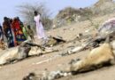 Les populations des pays à faible revenu plus exposées aux phénomènes climatiques extrêmes - RTBF Actus