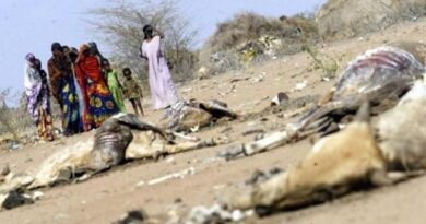 Les populations des pays à faible revenu plus exposées aux phénomènes climatiques extrêmes - RTBF Actus