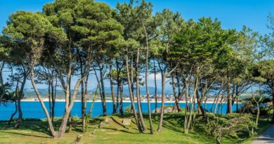 Pays de la Loire, Nantes, Angers, Loire river, castle, vineyard, coast, landscape