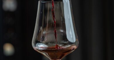 Les sommeliers du Gabriel à Bordeaux et du Logis de la Cadène à Saint-Emilion, ambassadeurs des vins de notre vignoble - ici