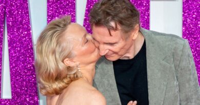 Liam Neeson et Pamela Anderson en couple : coup de coeur ou opération marketing ?