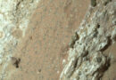 L'instant + : des roches tachetées sur Mars, "signe de vie le plus évident jamais trouvé"