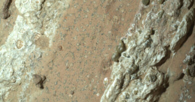 L'instant + : des roches tachetées sur Mars, "signe de vie le plus évident jamais trouvé"