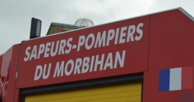 Locqueltas. Collision sur la D778 - Les Infos du Pays Gallo