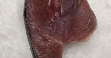 Longe de thon albacore