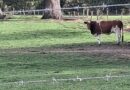 L'opération séduction de la Préfète de la Mayenne sur "le terrain" - leglob-journal