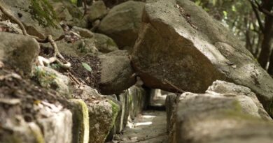Loto du patrimoine : on est allés à la découverte du canal de l'Ajara de Bastelica, l'un des lauréats