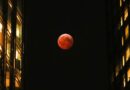 Lune de sang : pourquoi l’astre va se colorer de rouge dimanche