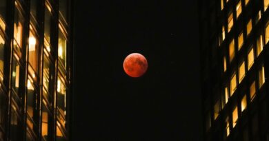 Lune de sang : pourquoi l’astre va se colorer de rouge dimanche
