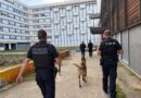 Lutte contre les trafics de stupéfiants : une nouvelle opération menée dans ce quartier du Val-d'Oise