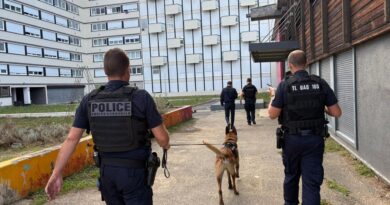Lutte contre les trafics de stupéfiants : une nouvelle opération menée dans ce quartier du Val-d'Oise
