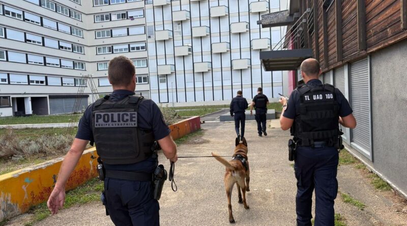 Lutte contre les trafics de stupéfiants : une nouvelle opération menée dans ce quartier du Val-d'Oise