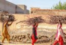 job, jobs, employment, hiring, recruitment, career, careers, vacancy, vacancies, work, working