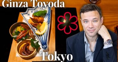 Manger au Ginza Toyoda, étoilé au Michelin, et explorer et manger à Tokyo