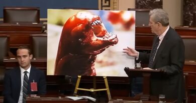 Manger des crevettes d’importation «finira par vous faire ressembler à Alien» : les délires d’un sénateur américain