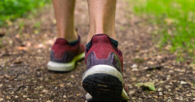 Marche et course à pied : un rendez-vous sportif avec quatre circuits au cœur de la nature à l'est de Toulouse