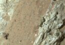 Mars : les nouveaux résultats de la NASA démontrent-ils des signes de vie passée ?