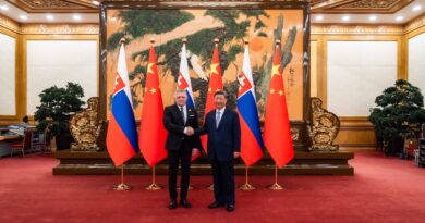 Matières premières : la Slovaquie se rapproche de la Chine et va à l'encontre des objectifs de l'UE - Euractiv FR