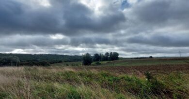 Météo en Belgique : encore de l'instabilité samedi, variable avant la pluie dimanche - RTBF Actus