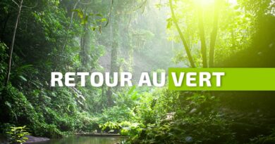 Meteo: retour au vert en Guadeloupe