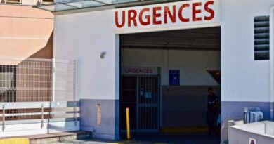 Montpellier : deux hommes blessés à coups de machette, que s'est-il passé ?