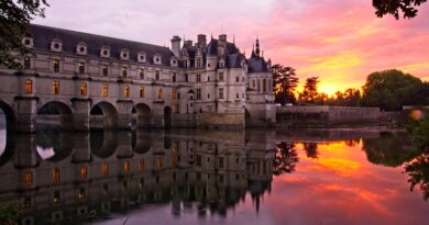 Pays de la Loire, Nantes, Angers, Loire river, castle, vineyard, coast, landscape