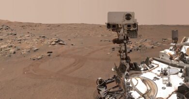 NASA : les soupçons de vie sur Mars impossibles à confirmer à cause des coupes budgétaires de l’administration Trump ? - RTBF Actus