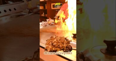 NEMU RESTO JEPANG ENAK HARGA BERSAHABAT | YATTATASTE JAPANESE CUISINE