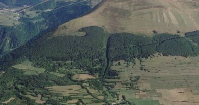 Napoléon Bonaparte et l'aigle du Grand Serre : un lien qui n'est pas si évident que ça - Mon séjour en montagne
