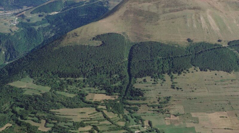 Napoléon Bonaparte et l'aigle du Grand Serre : un lien qui n'est pas si évident que ça - Mon séjour en montagne