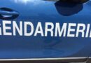 Nouveau drame sur les routes de Martinique : une piétonne décède au Robert