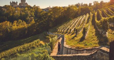 Œnotourisme: les trésors vaudois - Le Temps