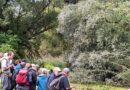 Offendorf. La Société botanique d’Alsace sur le terrain pour s'intéresser aux plantes aquatiques