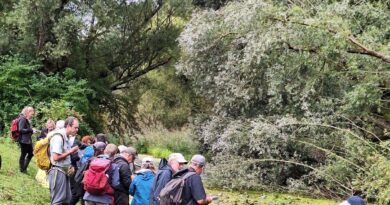 Offendorf. La Société botanique d’Alsace sur le terrain pour s'intéresser aux plantes aquatiques