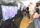 Oisemont : des ateliers et une exposition gratuits avec Les Petits Curieux ce week-end
